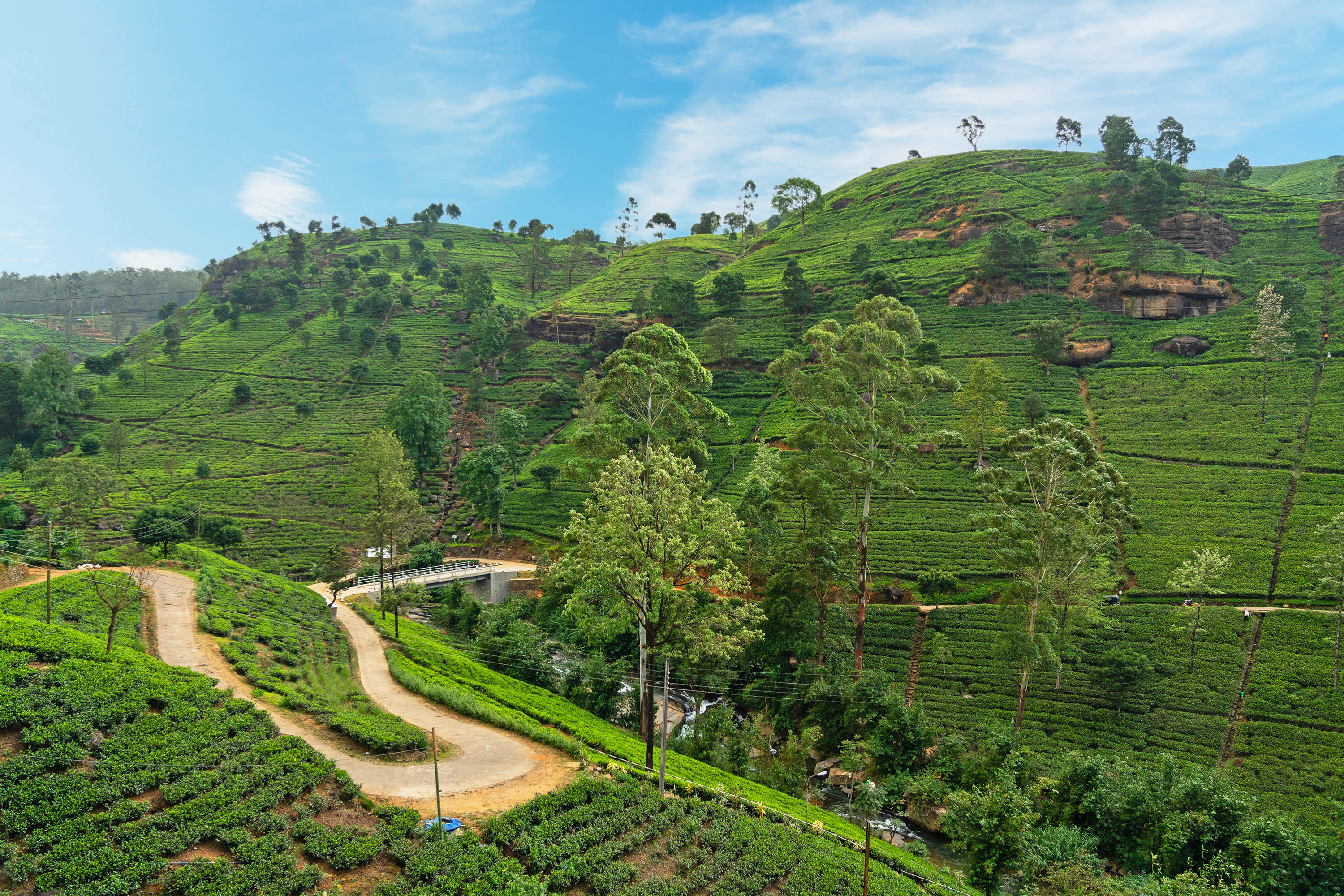 Climb New Heights: Our Top 5 Cycling Ascents Around the World