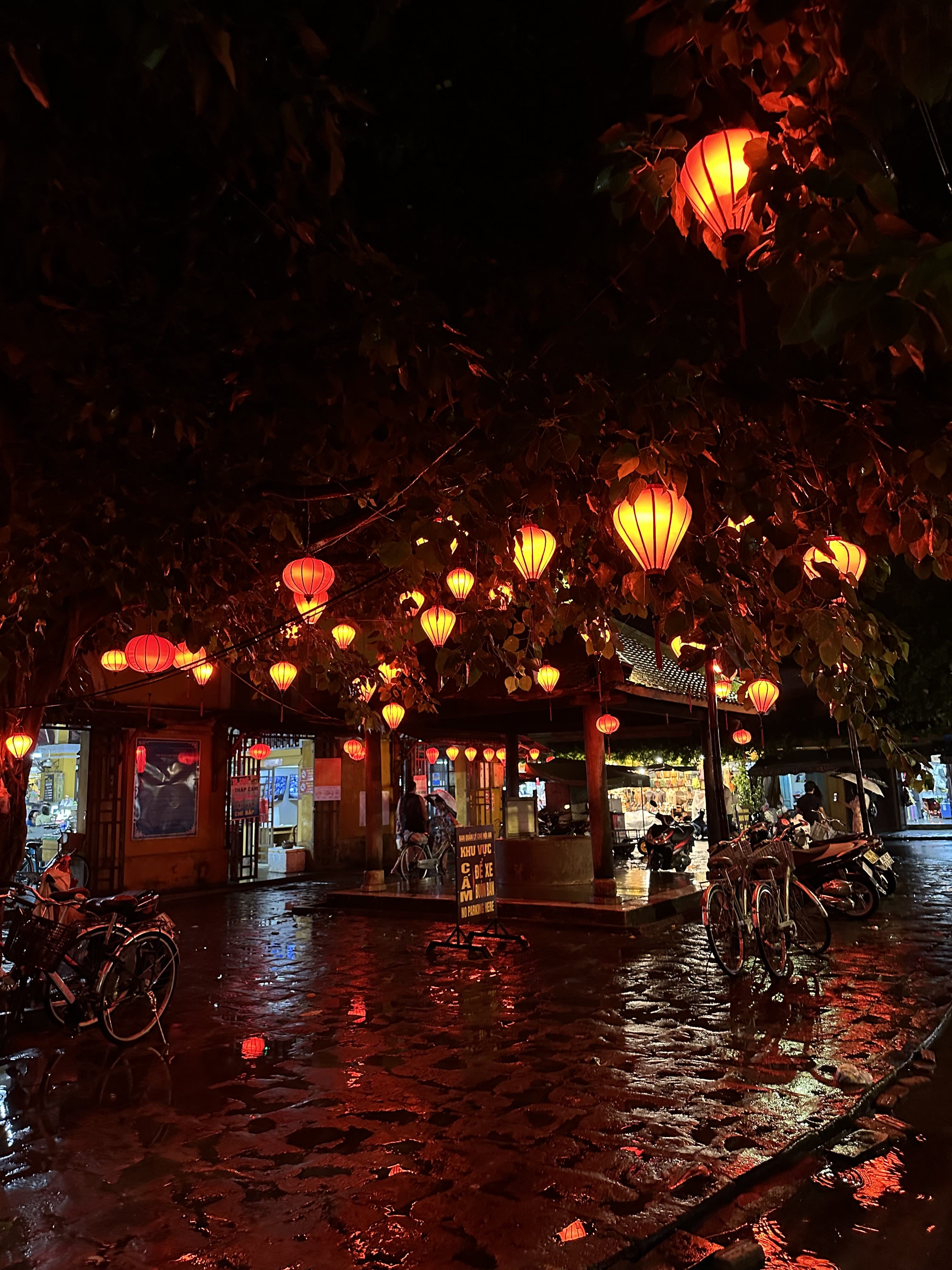 Unforgettable Vietnam: 9 Things Our Travellers Loved the Most