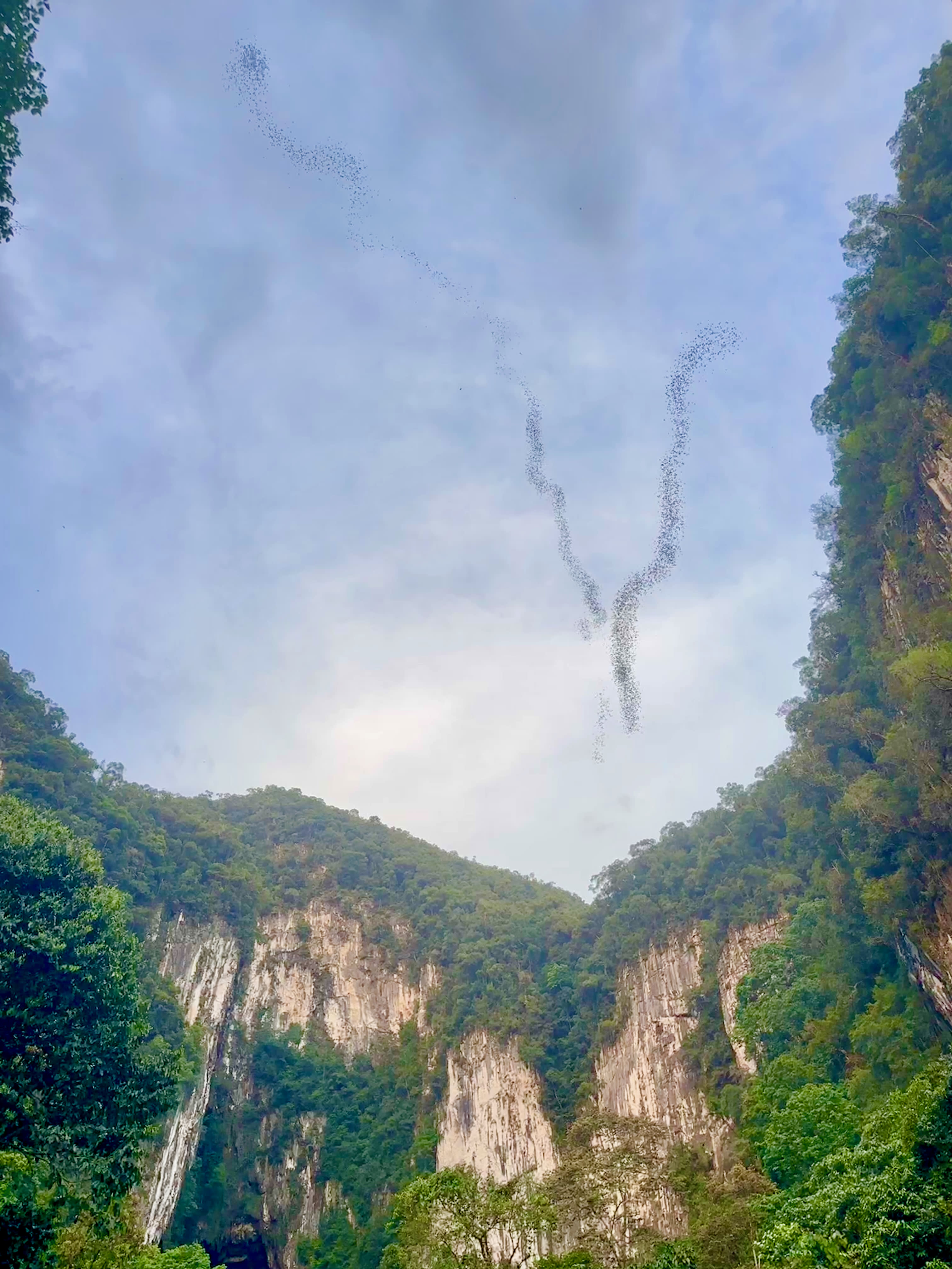 Deer Cave 