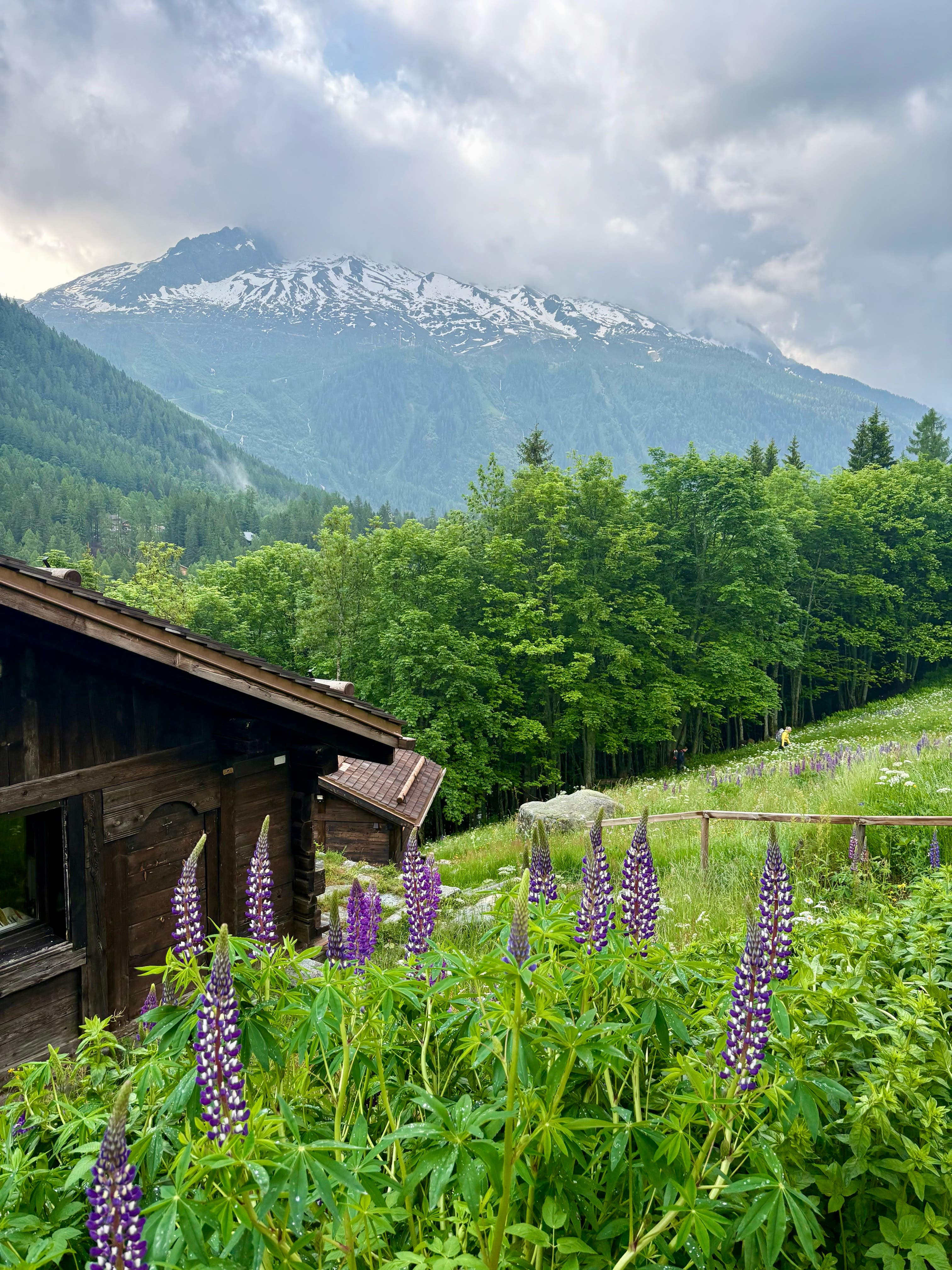 Why 2025 is the Best Time to Explore Mont Blanc