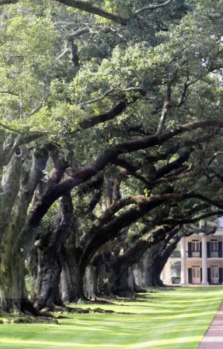 Oak Alley Plantation
