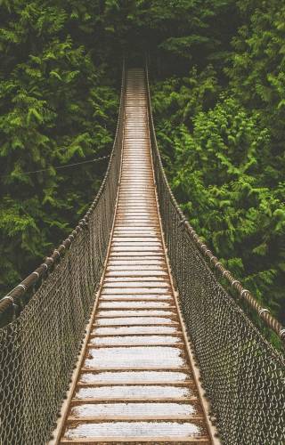 a bridge surrounded by trees