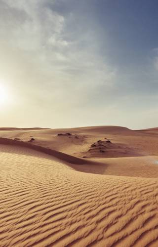 a bed in the sand