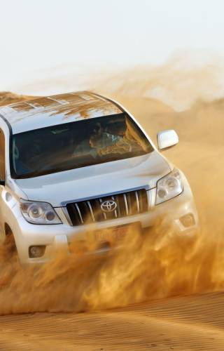 Desert safari