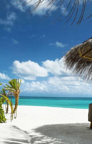 Beach hut