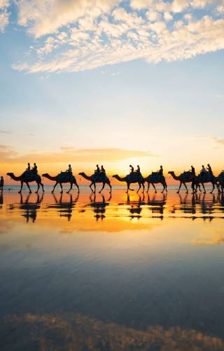 a group of people on a beach near a body of water