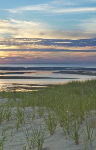 Cape Cod, Massachusetts, USA
