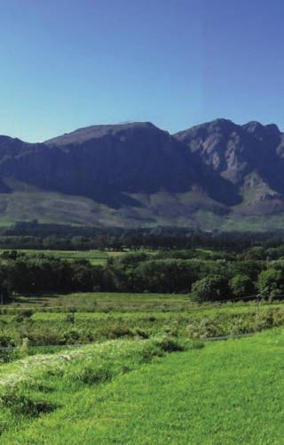 Cape Winelands