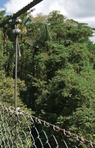 Views of Arenal Volcano from the hanging bridges