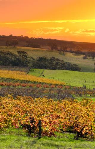 South Australia