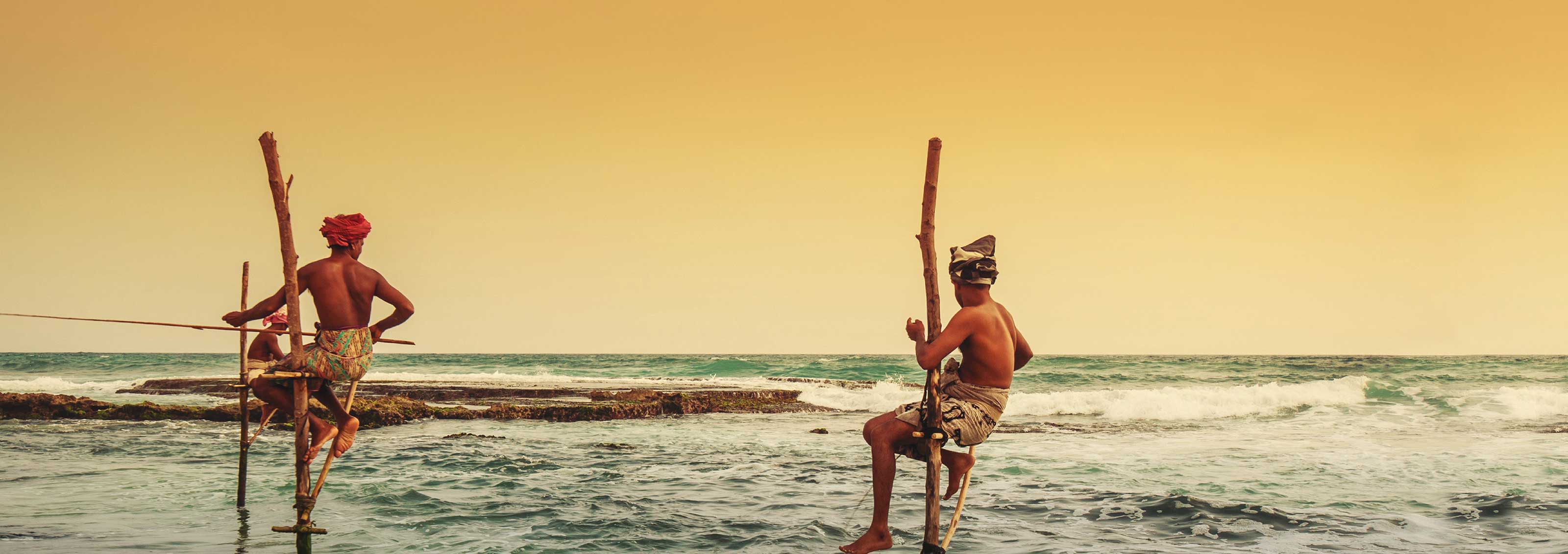 Sri Lanka Stilt Fishing