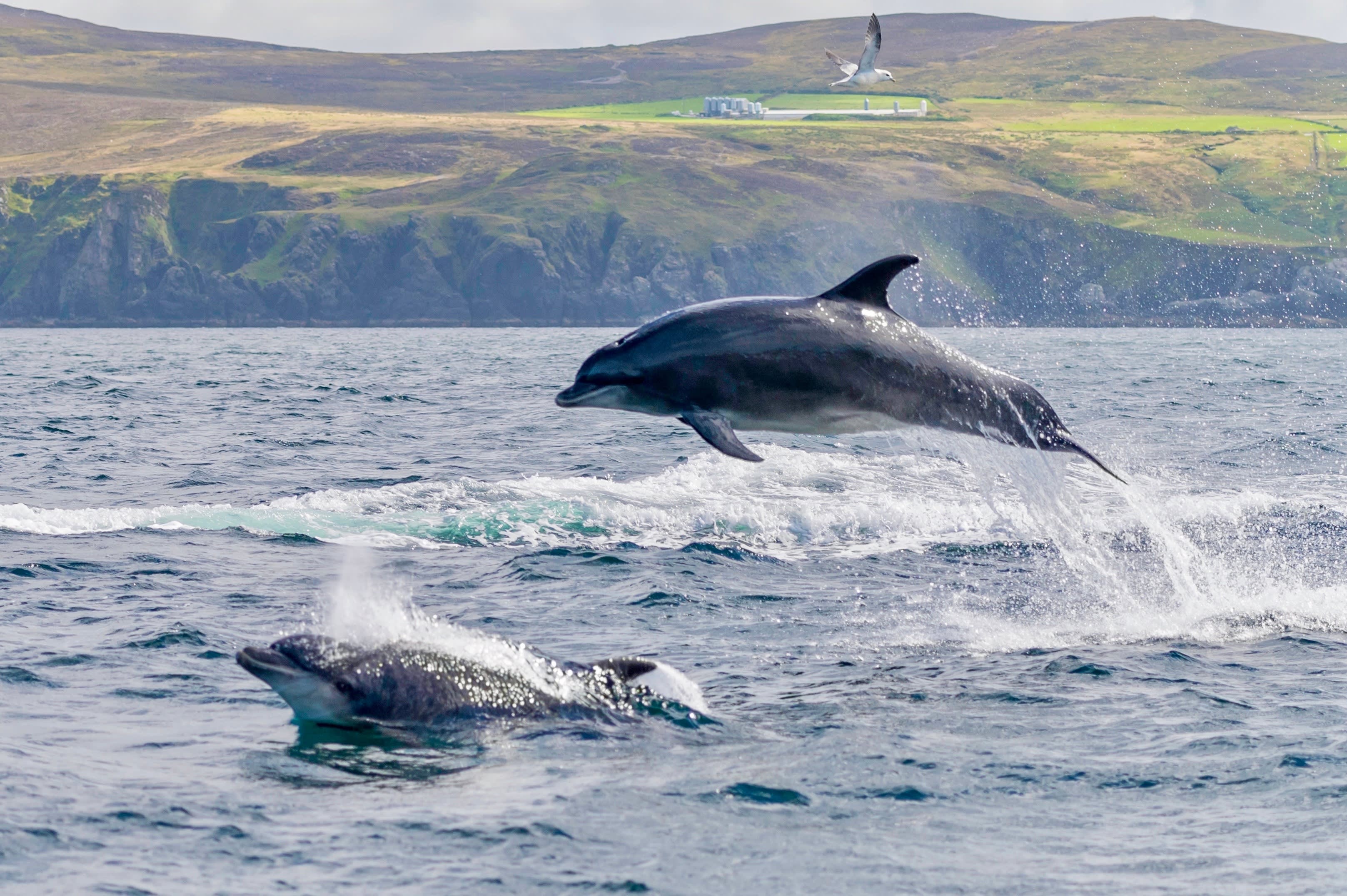 Top 7 Things to Do in Ireland