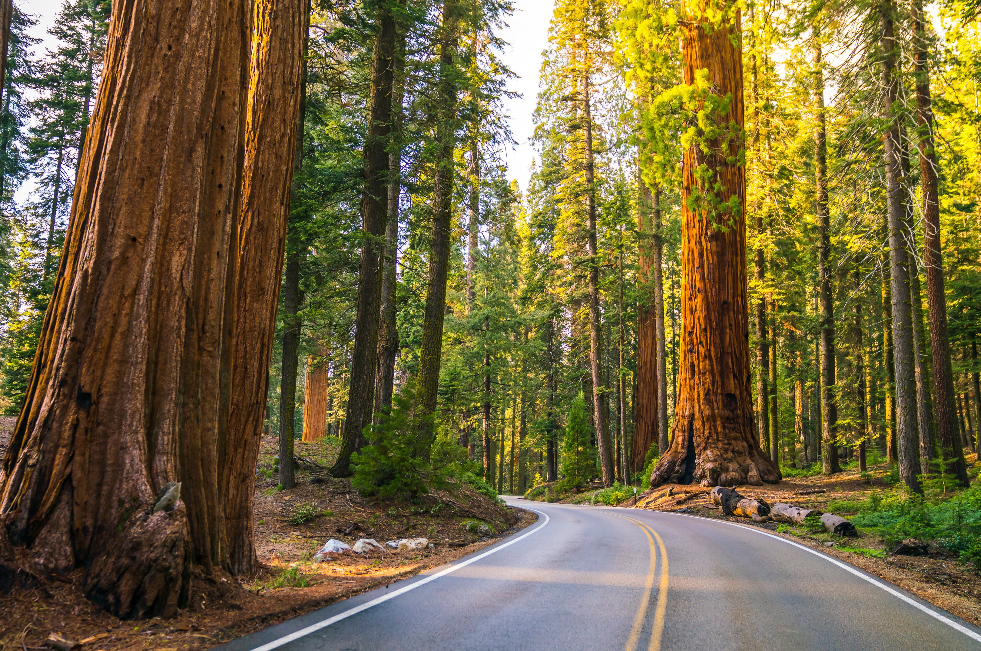 Top 15 Destinations to Visit in Summer 2024