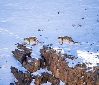 Your Guide to a Year of Cultural Adventures  