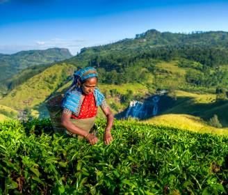 Top Billing: 7 Best Festivals Around the World for Culture and Tradition