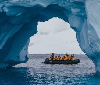 Your Guide to a Year of Wildlife Adventures