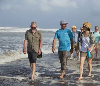 Five of the World’s Most Magnificent Animals to See in the Wild