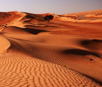 World’s Best: 26 Top Adventure Trips to Book for 2026, Chosen by the Experts