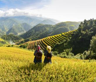 Master Crafter: The Secret to a Perfect Vietnam Itinerary? Here’s What the Expert Says