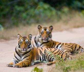 World’s Best: 26 Top Adventure Trips to Book for 2026, Chosen by the Experts