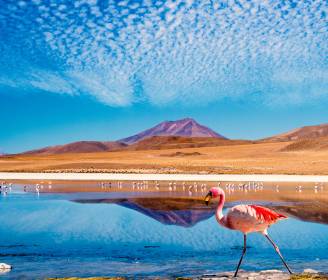 World’s Best: 26 Top Adventure Trips to Book for 2026, Chosen by the Experts