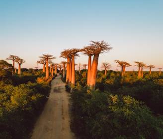 Wild Encounters: Top 10 Destinations for African Safaris