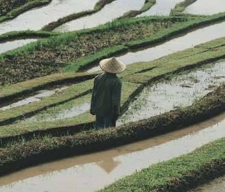 4 Ways to Experience Asia – Which One Calls to Your Inner Adventurer?