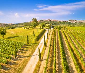 Beyond the Miles, into the Moments: Your Guide to Cycling Adventures 