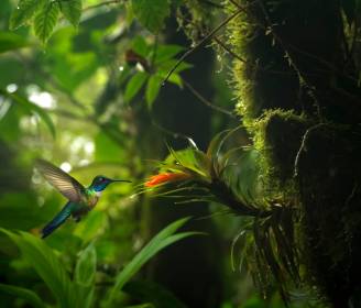 World’s Best: 26 Top Adventure Trips to Book for 2026, Chosen by the Experts