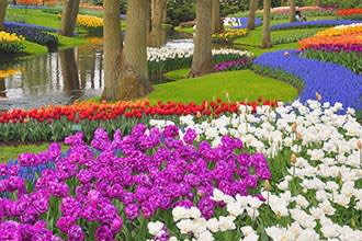Parco botanico di Keukenhof a Lisse