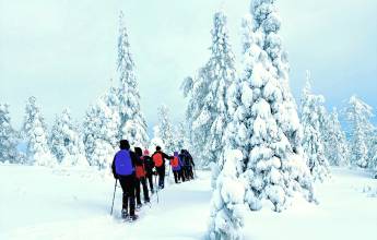 Finland Family Winter Adventure