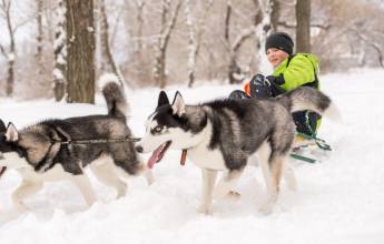 Finland Family Winter Adventure