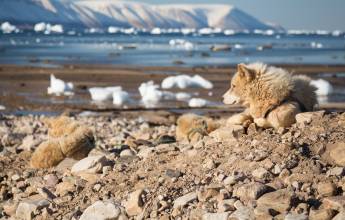 Northwest Passage: Epic High Arctic