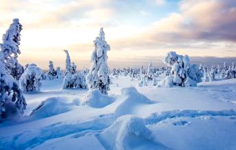 Finnish Wilderness Week