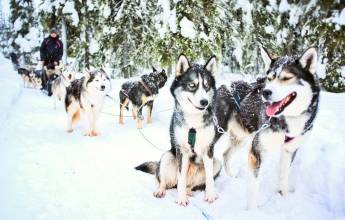 Finnish Wilderness Week