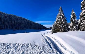 Snowshoeing in the Dolomites – Premium Adventure