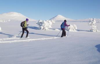 Cross-Country Skiing in Venabu
