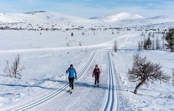 Cross-Country Skiing in Venabu