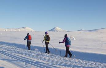 Cross-Country Skiing in Venabu
