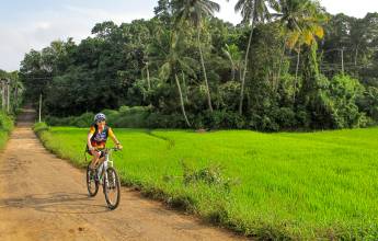 Cycle the Back Roads of Sri Lanka