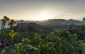 Cuban Highlights Ride