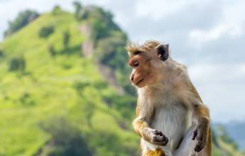 Highlights of Northern Sri Lanka