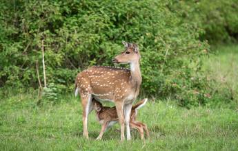 Cycle Kerala & Tropical India