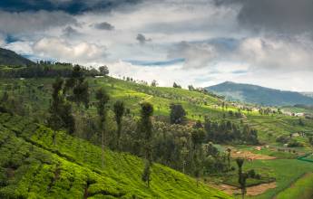 Discover South India – Premium Adventure