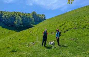 Walking Northern Tuscany