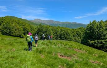 Walking Northern Tuscany