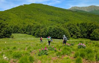 Walking Northern Tuscany