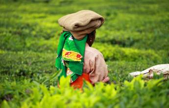 Southern India Coast to Coast Ride