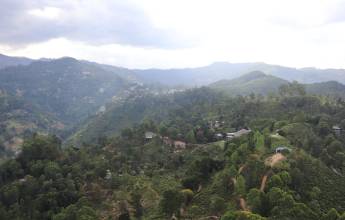 Cycle the Back Roads of Sri Lanka
