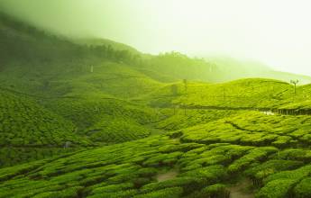 Cycle Kerala & Tropical India